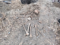 Сельчанин откопал во дворе скелет